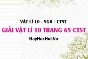 Giải Vật lí 10 trang 65 Chân trời sáng tạo SGK